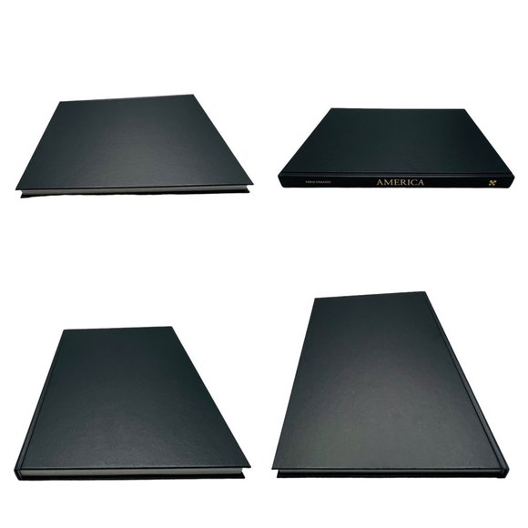 America by Fred Hirschmann Essays by Suzan Hall 1994 Illustrated - Picture 10 of 13